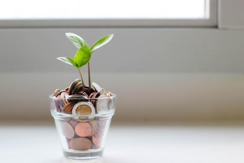 A plant growing in a glass of pennies